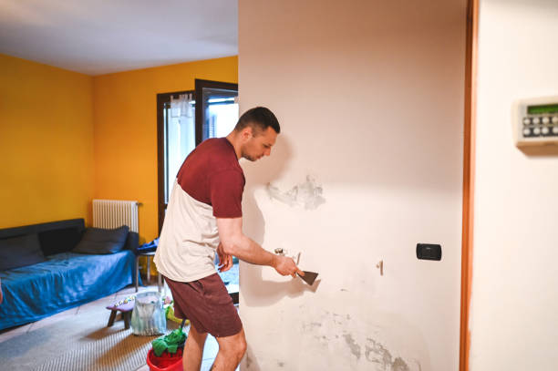 Reliable El Monte, CA Mold Removal Solutions